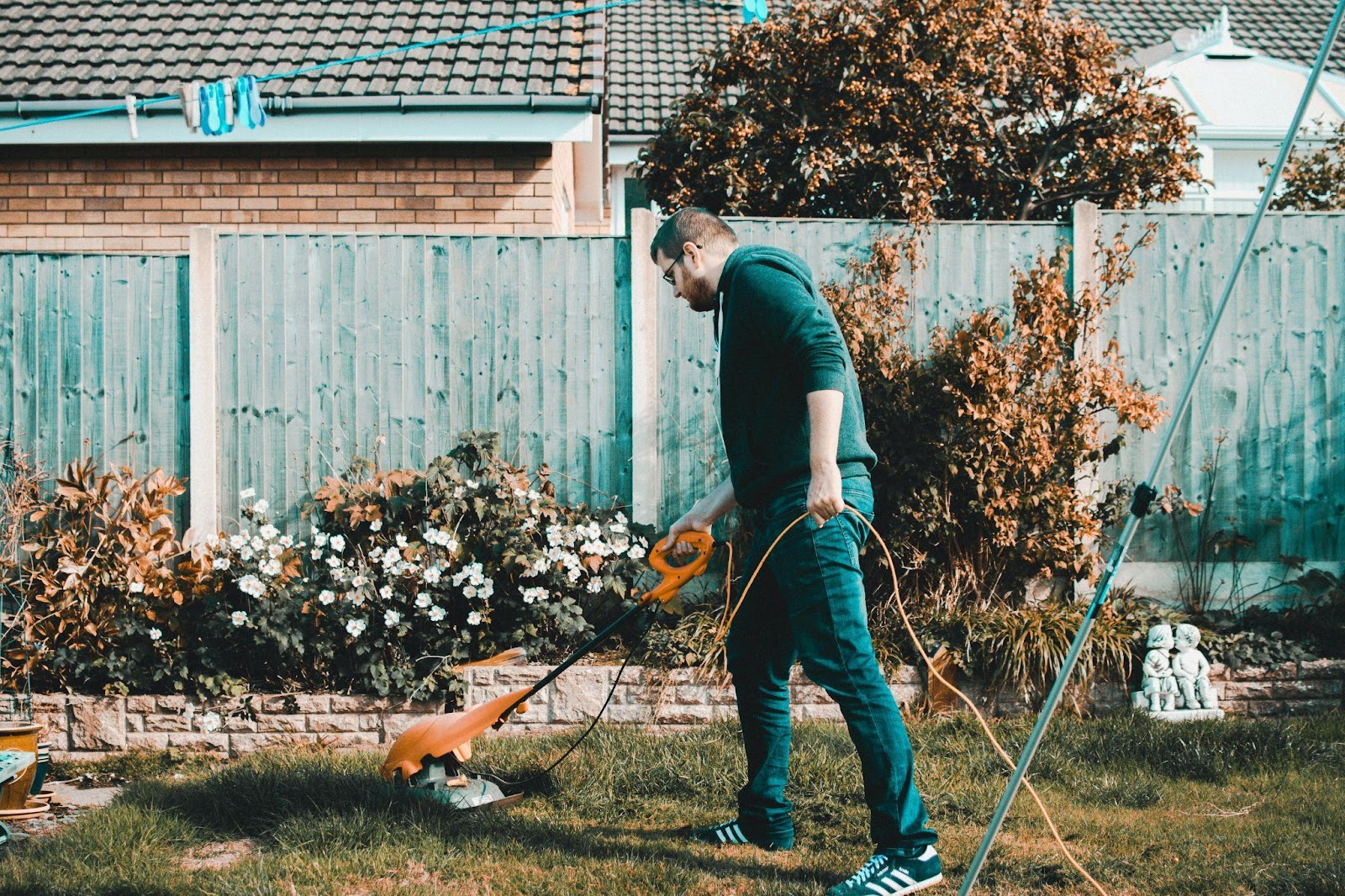 Best Lawn Care Services and Company for Lawn Maintenance in Surrey