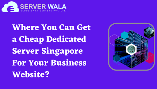 Where You Can Get a Cheap Dedicated Server Singapore For Your Business Website?