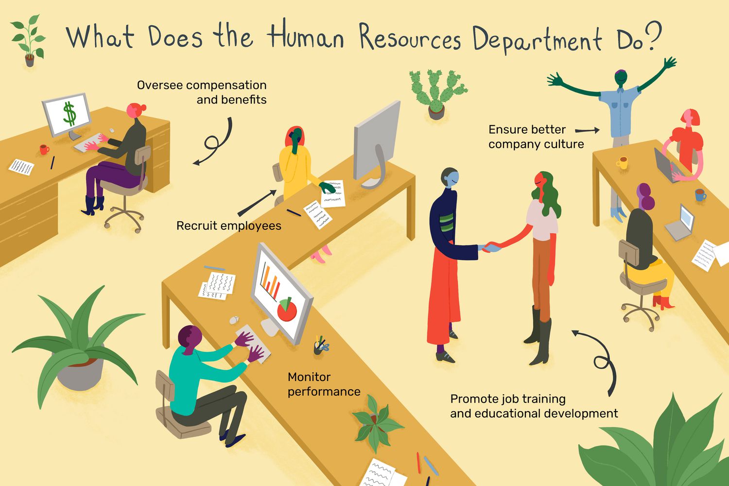 what does human resources do for a company